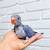 Indian ringnecks ringneck parrot 3 thumbnail