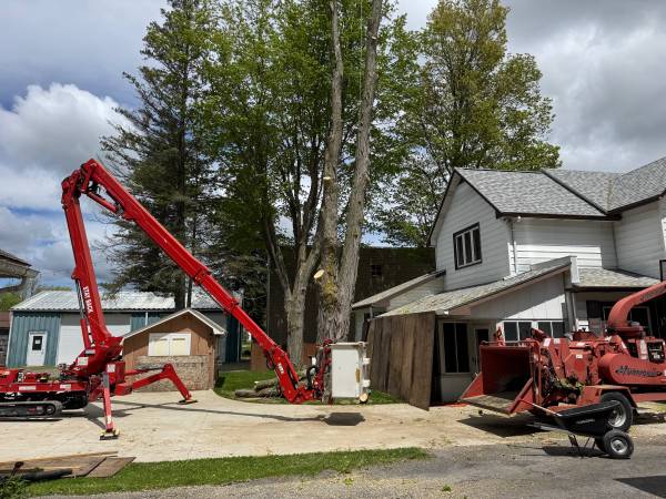 Emergency Tree Services!!! **WILL BEAT ANY PRICE** 1