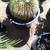 24 Inch Diameter Golden Barrel Cactus - Echinocactus grusonii 3 thumbnail