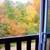 5 Beds 3.5 Baths Single Family House 6 thumbnail