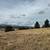 Fairplay, CO - 3.99 Acres - Electric on the road 4 thumbnail