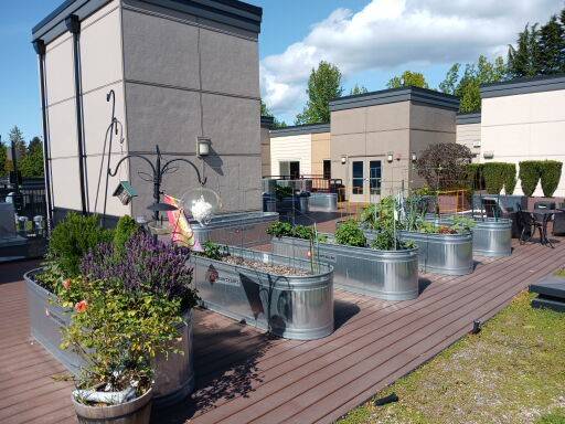 $1,900 / 2br - 717ft2 - 🌟 The Savoy at Lake City: 55+ Senior Community - 4 Weeks Free Rent! (North Seattle)63870757138561123