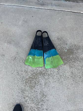 Fins 1