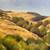 STUDIO PAINTINGS  original paintings by leslie golden 16 thumbnail
