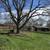 Secluded 3-Bed Home on 4.75 Acres: Greenhouse, Barn, Income Potential! 7 thumbnail
