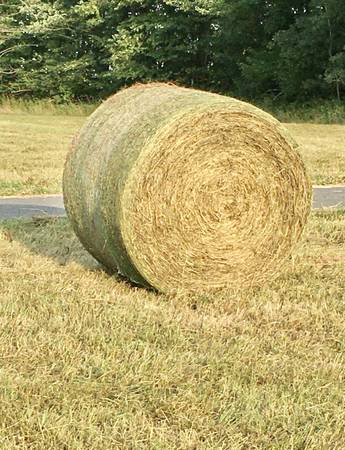 Hay Round Bales 1