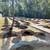 Professional All Landscaping, Design Bedding, Landscaping Services: 19 thumbnail