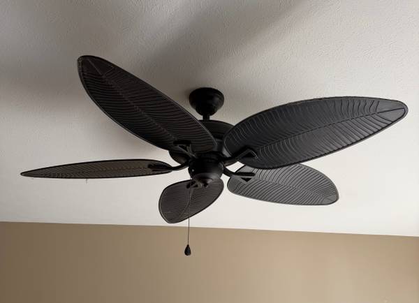 Ceiling Fan 1