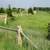 YARD GARDEN DECOR, Antiques, and More 5 thumbnail
