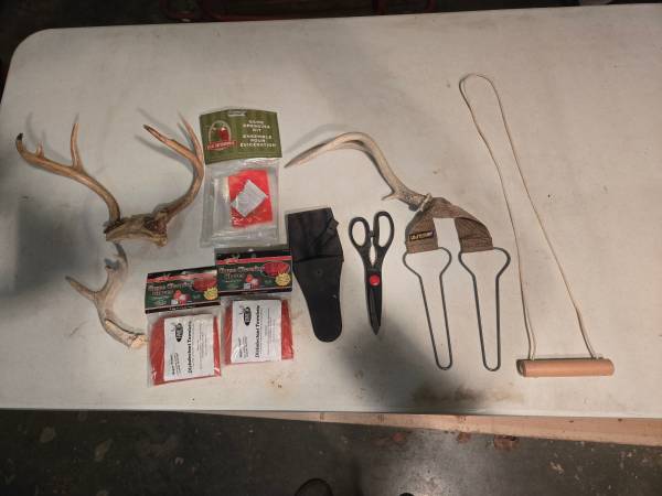 Deer Antlers, Plus. 1