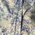 BASIC EDITIONS WOMAN BUTTON UP SHIRT FLORAL BLUE FLOWERS 1X 4 thumbnail