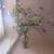 Floral Arrangement 1 thumbnail