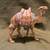 Lenox - Little Town of Bethlehem Standing Camel 1 thumbnail