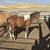 yrlg grade paint colt / horse 5 thumbnail