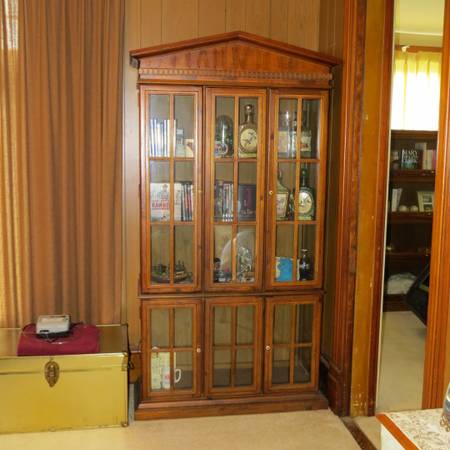 Curio Cabinet - Lighted 1