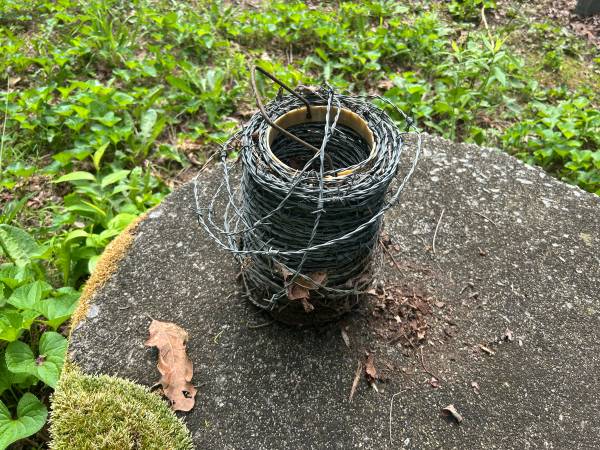 Half Rusted Barbed Wire 1