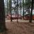 Cabin, + "Moose" Lodge Guest Cabin , New Garage/Shop 1 Acre Wooded Lot 14 thumbnail