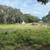 Real Estate:  Land for sale 5 thumbnail