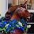 Solid Wood Carved LARGE Vintage Horse 1 thumbnail