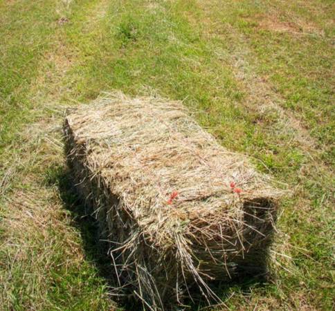 hay 1