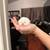 Beautiful fluffy persian blue point Himalayan 1 thumbnail