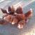 Lohmann Red Laying Hens 3 thumbnail