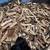 Fw.. kingsville farm selling firewood ... seasoned dry split and cut t 4 thumbnail