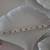 4 New Crate & Barrel White Porcelain Gingko Leaf Plates 13 thumbnail