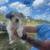 Border/Aussies 4 thumbnail