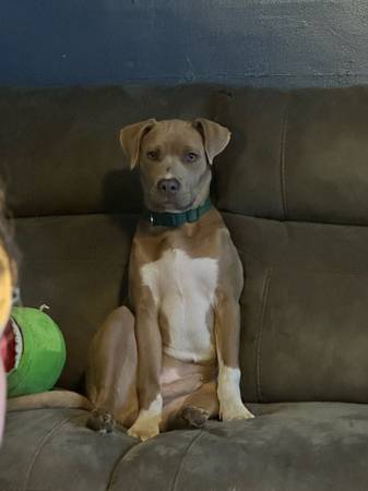 His name is AJ (Waynetown)63680163222659123