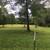 Horse Barn & Pasture FOR LEASE 5 thumbnail