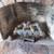 Propane Fireplace Burner and Ceramic Log Set 1 thumbnail