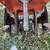 Good working Powermate 43cc mini tiller cultivator 5 thumbnail