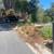 TREE &STUMP GRINDING &STUMP REMOVAL SERVICE 12 thumbnail