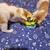 Beautiful orange and white kitten 3 thumbnail