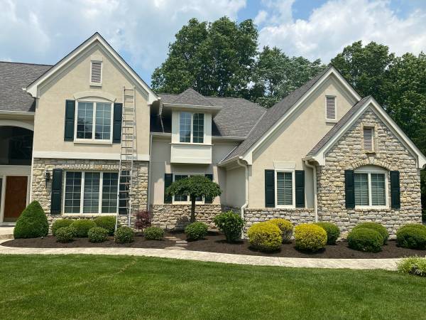 Professional Painting 1