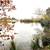 23.58 Acre Homesite For Sale - Owner Financing Available 9 thumbnail