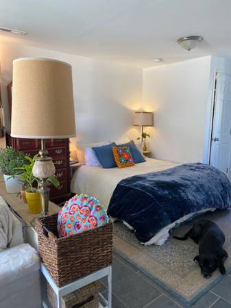 $350 / 580ft2 - LOvely, Spacious Studio(Fully Furnished) (Madison)64148843297538122