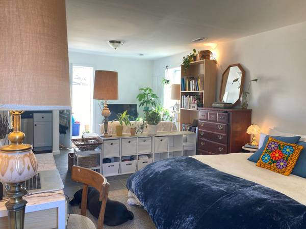 $350 / 580ft2 - LOvely, Spacious Studio(Fully Furnished) (Madison)64148843297538120