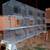 RABBIT CAGES 14 GAUGE American galvanized after the weld quality long row hangin 18 thumbnail