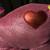 LARGE DAN DEE COLLECTOR'S CHOICE UNICORN PLUSH SPARKLY PINK HEART SHIN 8 thumbnail