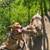 $40 small dog pack walk, $50 medium dog pack walk, $65 big dog pack 8 thumbnail