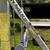 Eastern Townships Dock Boat Lift 1,500lb 3 thumbnail