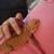 Young bearded dragon! 2 thumbnail