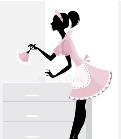 Erins Home Cleaning 1