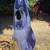 Inflatable costumes x8 7 thumbnail