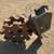 Compaction Wheels 13 thumbnail