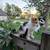 Kittens 4 thumbnail