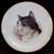 Main Street Studio Cat Plate Set 1 thumbnail