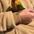 Sun conure 7 thumbnail